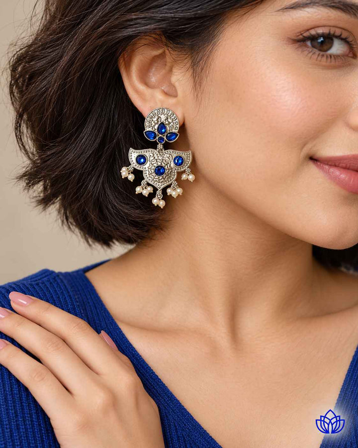 Silver Oxidised Earrings Bashobi