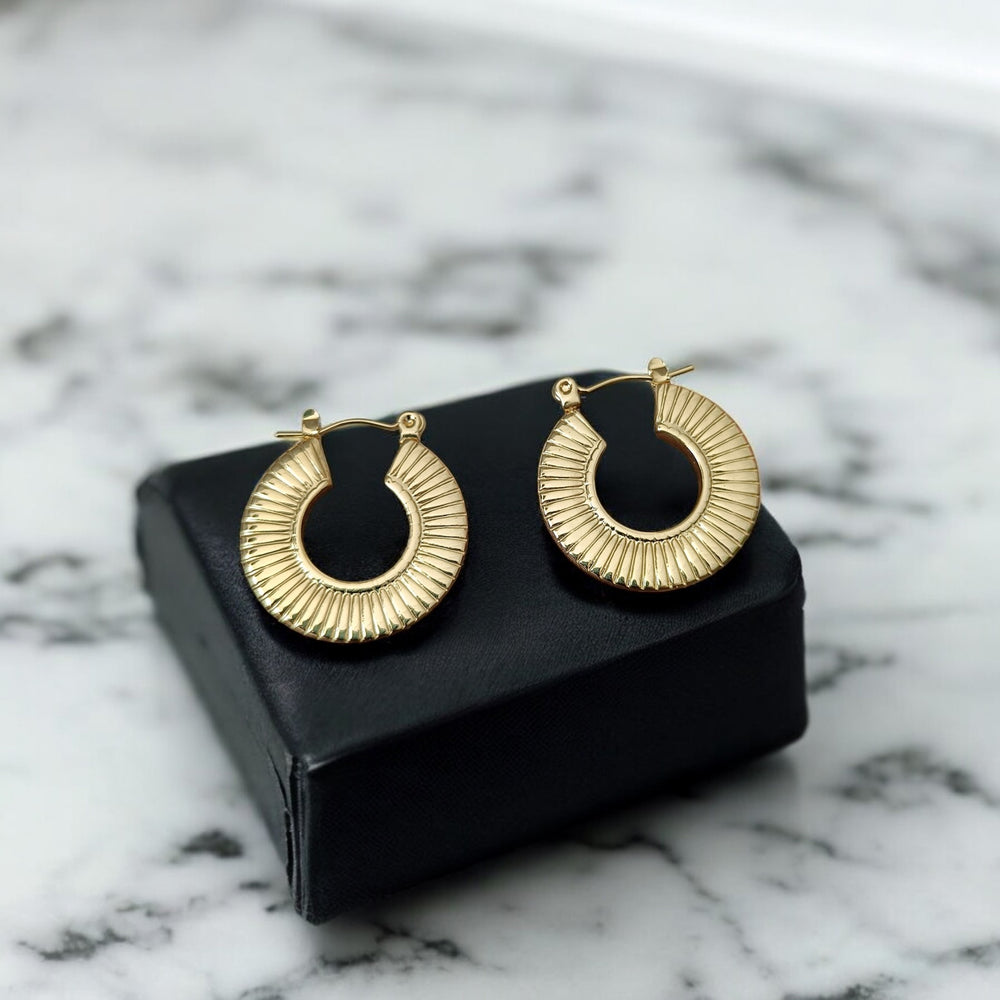 Telanaari 18k Gold-plated Stainless Steel Tarnish-free Waterproof Demi-fine Arc Hoop Earrings - TelaNaari