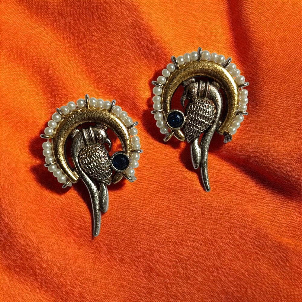 Elegant Ishi Dual Tone Silver Plated Stud Earrings - TelaNaari